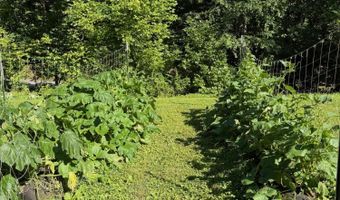 355 Lone Mountain Rd, Andersonville, TN 37705