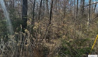 TBD Bassett Heights Ext, Bassett, VA 24055