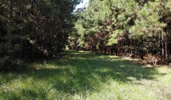 Old Buckhead Road, Bamberg, SC 29003
