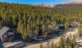 421 N Aspen St, Alma, CO 80420