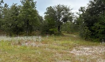 4539 NW Miller/White LN Rd, Altha, FL 32421