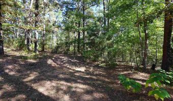 646 SCHOOL St, Amity, AR 71921