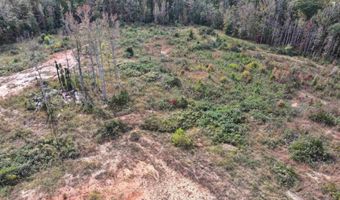 192 Putman Rd, Buffalo, SC 29321