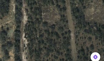 294 Cr-1461, Alice, TX 78332