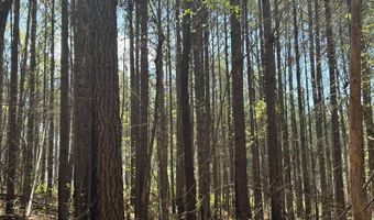 274 CR 3301, Booneville, MS 38829