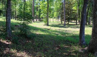 407 Lakeshore Dr, Bainbridge, GA 39819
