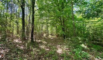 2316 Traci Loop, Bogue Chitto, MS 39629