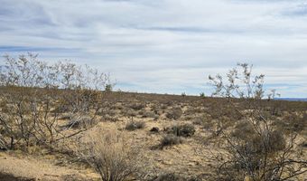 320 Acres W Brittlebush Dr, Yucca, AZ 86438
