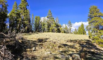 PCS # 7765 & 12057 Rollies Trail lot 0, Alma, CO 80420