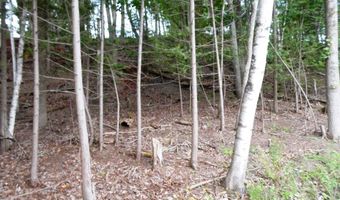 S Forest Lake, Alger, MI 48610