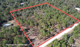 93 RD Ter, Archer, FL 32618