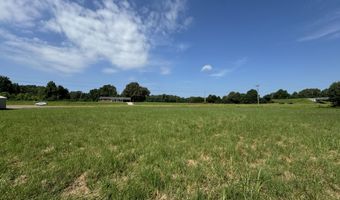 0 US-412, Alamo, TN 38001
