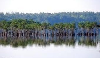 138 Abraham Street Lot 5 Blk, Alford, FL 32420