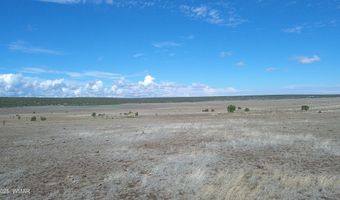 7 N CR 8171, Concho, AZ 85924