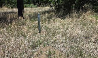 17775 County Road 51, Boncarbo, CO 81024