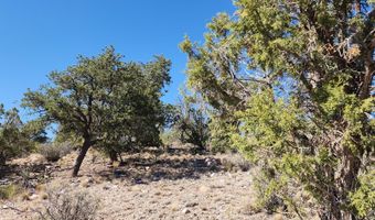 Lot 1 Big View, Ash Fork, AZ 86320