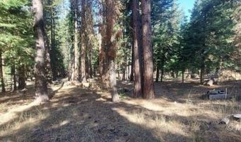 1 Acre McKenney Dr, Alturas, CA 96101