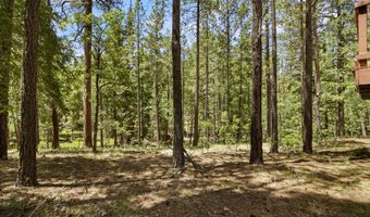 12 CR 2044, Alpine, AZ 85920