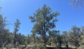 212 Arizona Rd, Ash Fork, AZ 86320