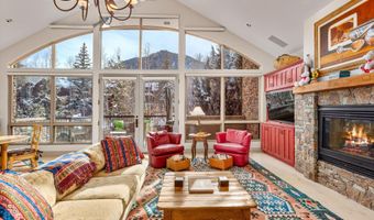 990 E Hopkins Ave, Aspen, CO 81611