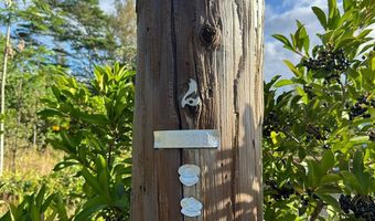1 ST Ave, Keaau, HI 96749