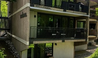800 E Hopkins Ave A-1, Aspen, CO 81611