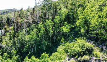 349 W Eagles Roost St, Brian Head, UT 84719