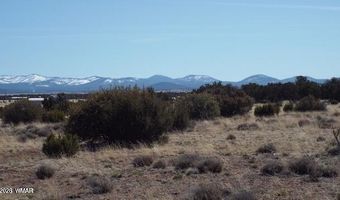 Parcel 107-52-046, Concho, AZ 85924