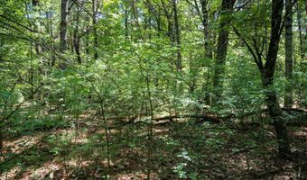 19 Th Pass Lot 132, Arkdale, WI 54613