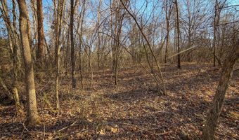 Farris Rd, Atoka, OK 74525