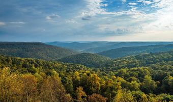 2582 Gap Rd, Altamont, TN 37301