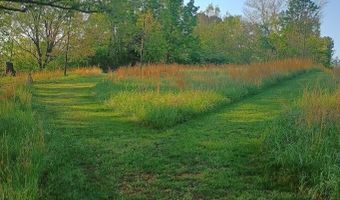 46 Private Road 160-190, Alton, MO 65606
