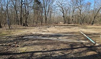 54601 E 233 Rd, Afton, OK 74331