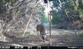 16711 State Highway 6, Hico, TX 76457