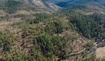 2829 Buckhorn Springs Rd, Ashland, OR 97520