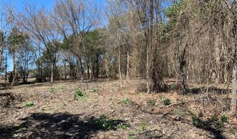 Lot 1 Gibson Road, Athens, TX 75751