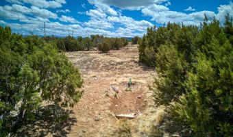 26 County Road 8006 26 Bear Claw, Concho, AZ 85924