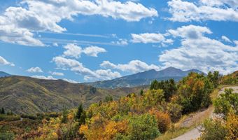 1560 Medicine Bow Rd, Aspen, CO 81611