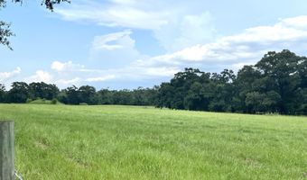 18760 Leon Wiggins Rd, Andalusia, AL 36420