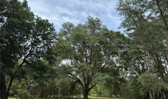 Tbd NW 67TH BOULEVARD, Alachua, FL 32615