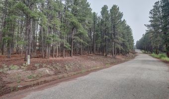 Lot 4 St Andrews Way, Angel Fire, NM 87710