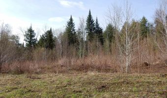 Burton Hill Road, Barton, VT 05822