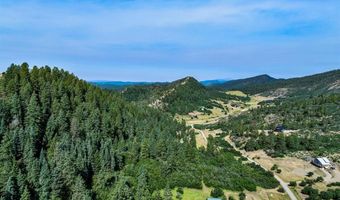 554 Pine Spring Dr, Bayfield, CO 81122