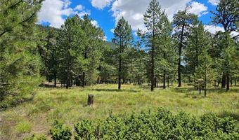 105 Quail Rdg, Antonito, CO 81120
