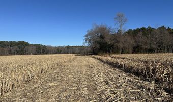 0 Bivalve Lodge Rd, Bivalve, MD 21814