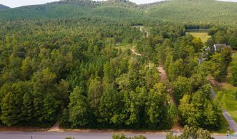 10675 29 Acres Shoal Creek Rd, Ashville, AL 35953