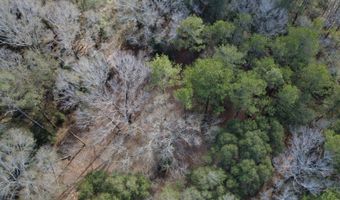 County Road 72, Ariton, AL 36311