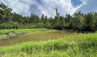 3951 MS-42, Bassfield, MS 39421