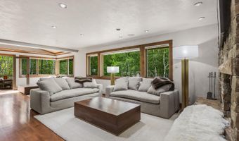 203 Eastwood Dr, Aspen, CO 81611