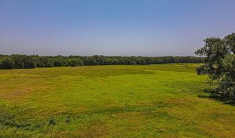 2141 Rs County Road 2250, Alba, TX 75410